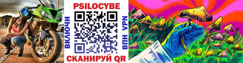 Галлюциногенные грибы Cubensis  как найти наркотики  Калининец 